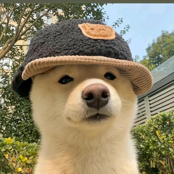 整点炸薯🍟