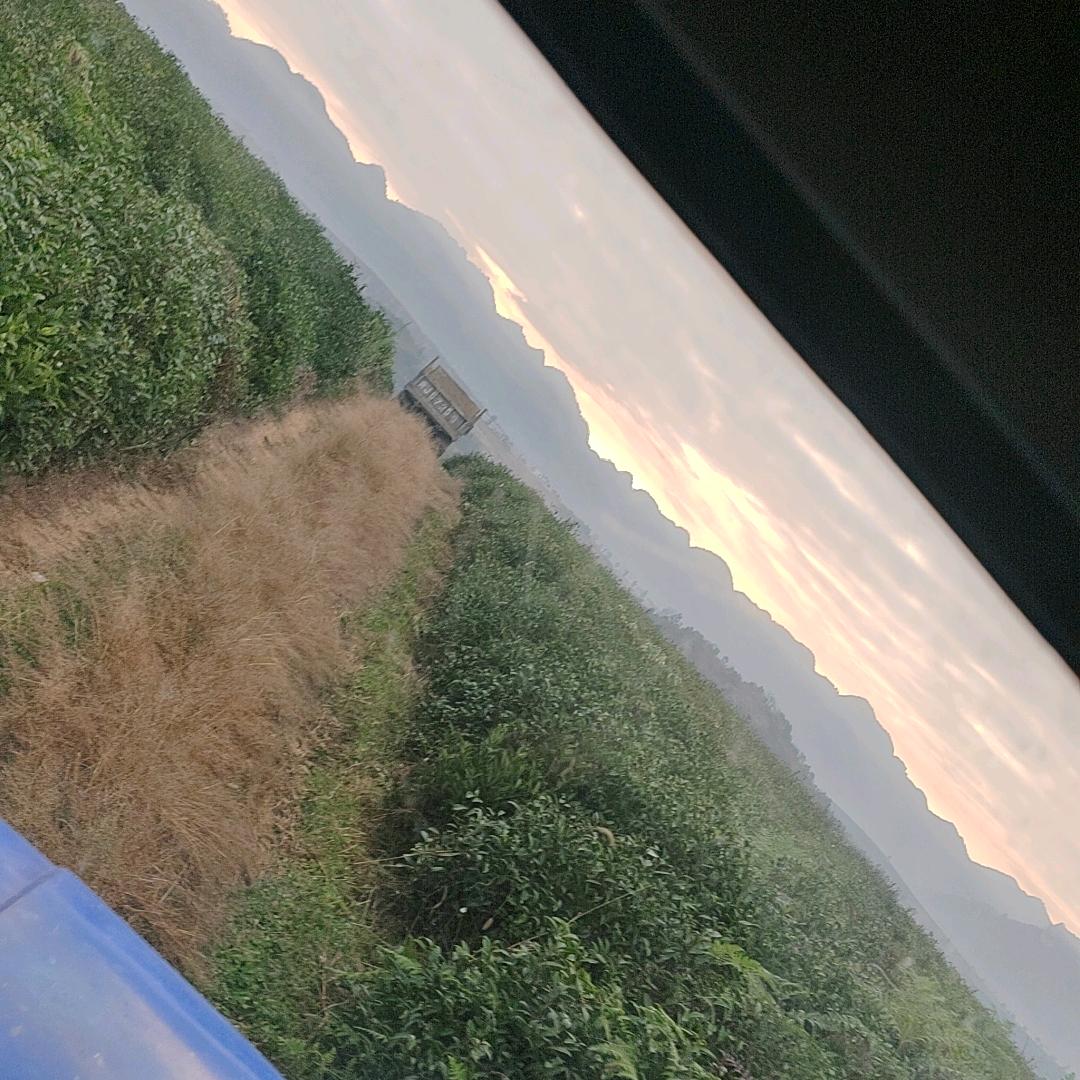 一天比一天开心😁