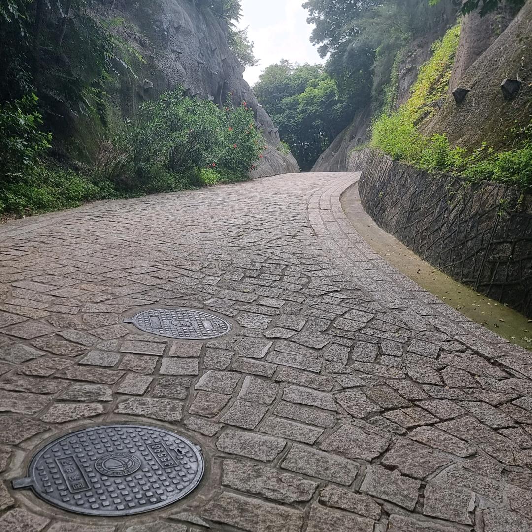 伦敦雾霾中的旋律