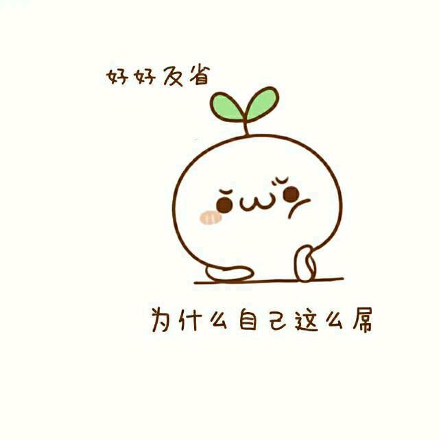 七七咨询