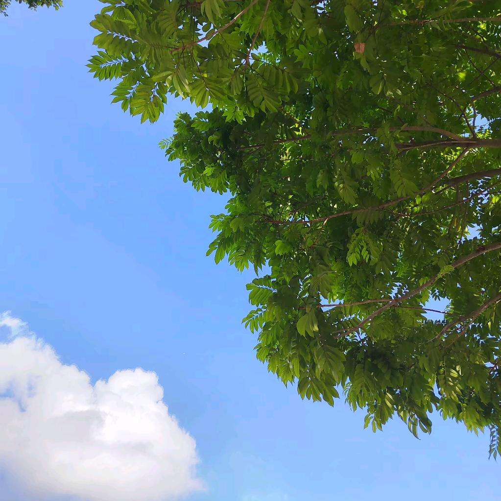 游泳健身