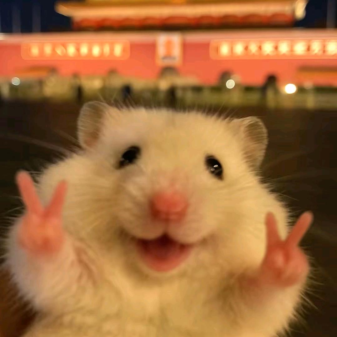 Lෆiuᥫᩣ