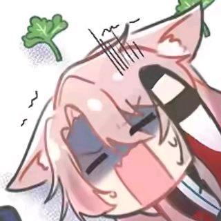 芝士狐狸