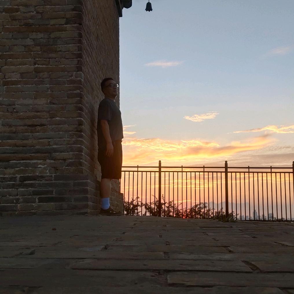 悬铃摇落万象色