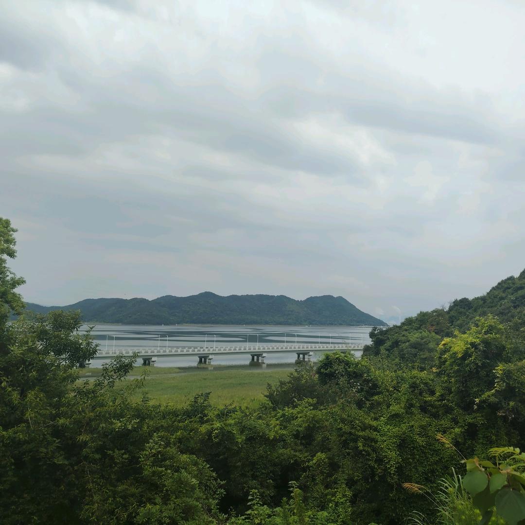 终身