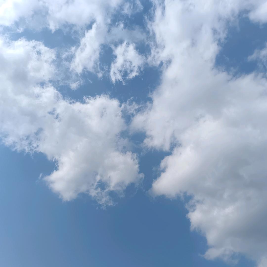 知夏