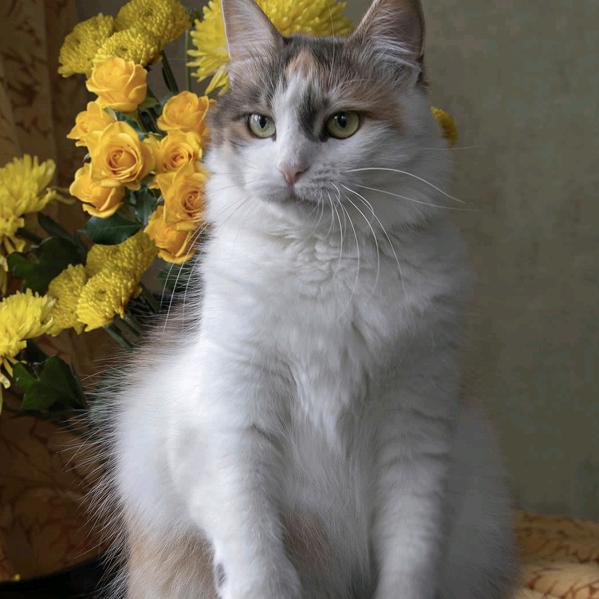 再见来不及握手