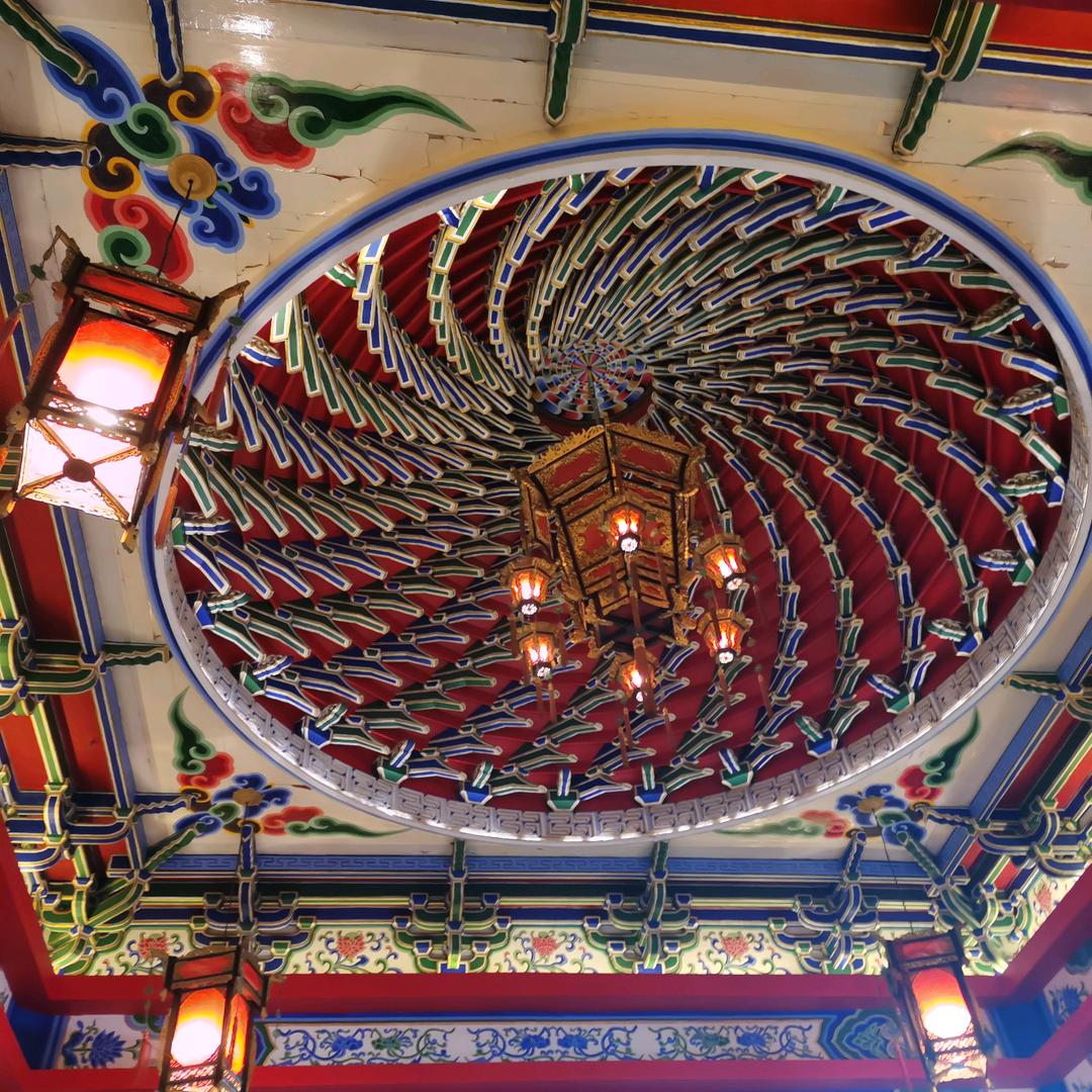 兔子口岸