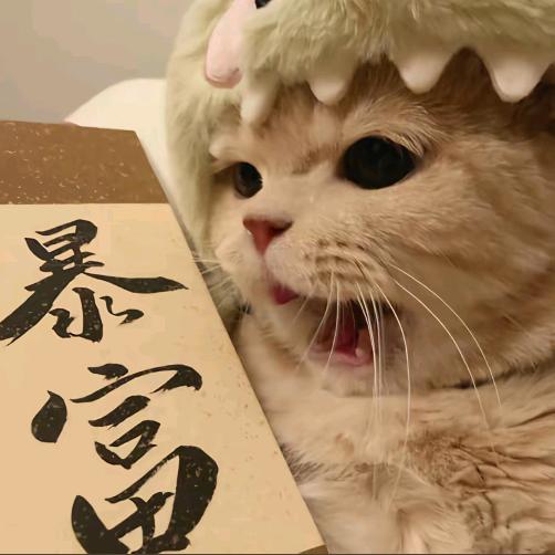 值班表 钻-宠粉号