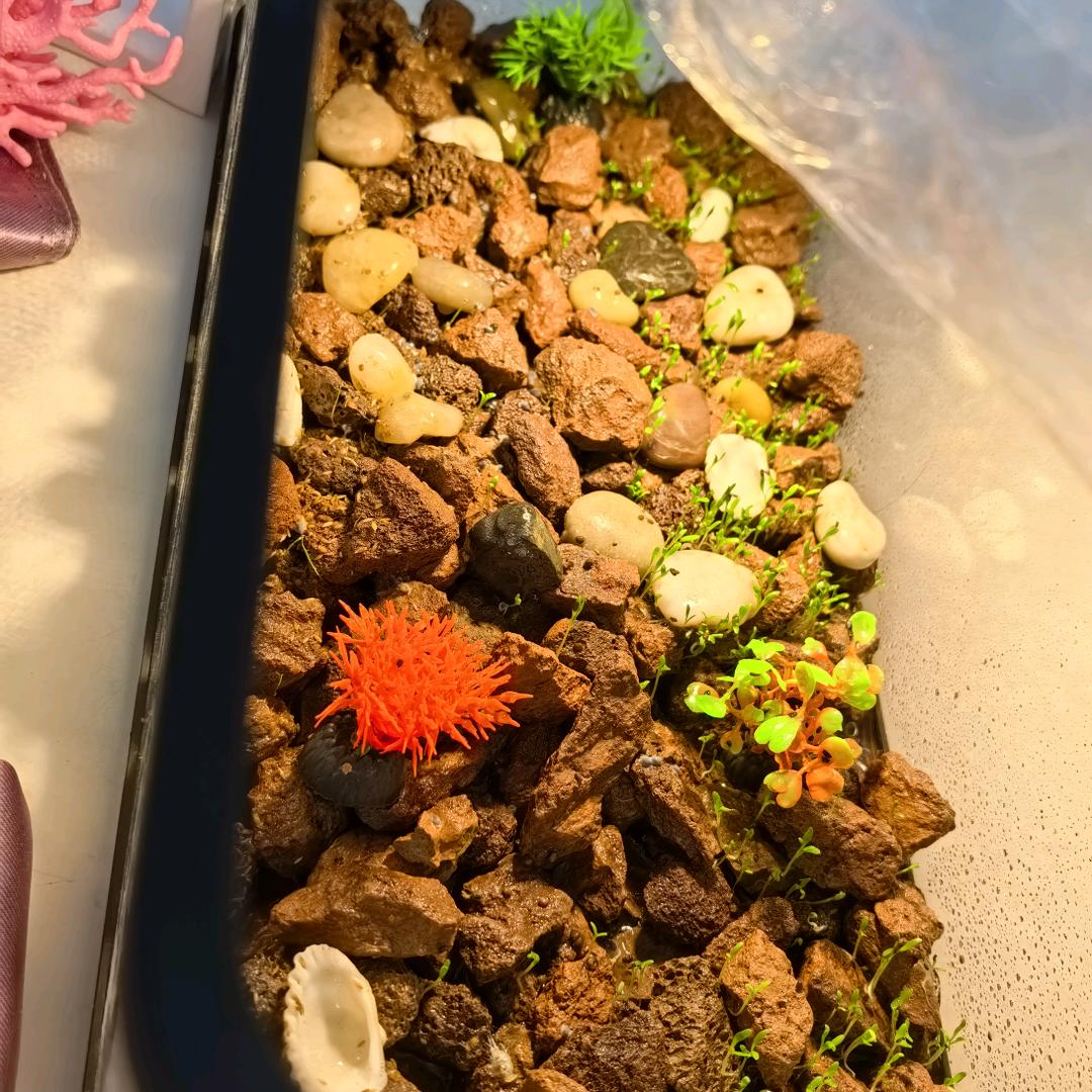 阿沐