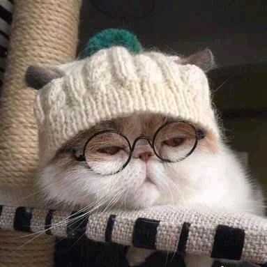 加菲猫的幸福生活