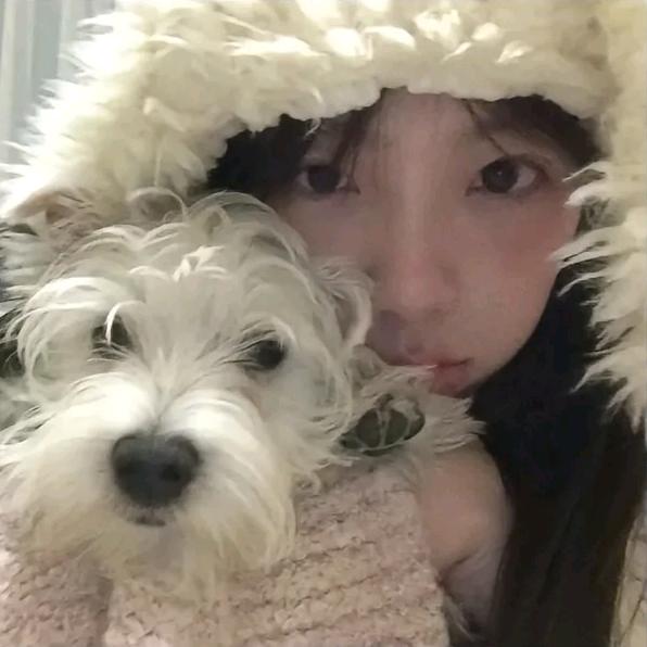 不吃鱼丸吃什么