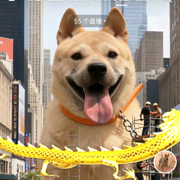 天台抖宠