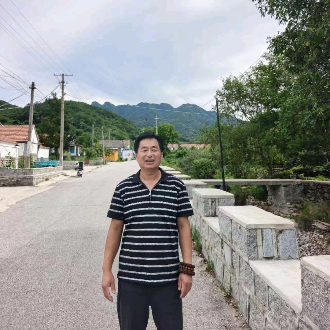 风景独好