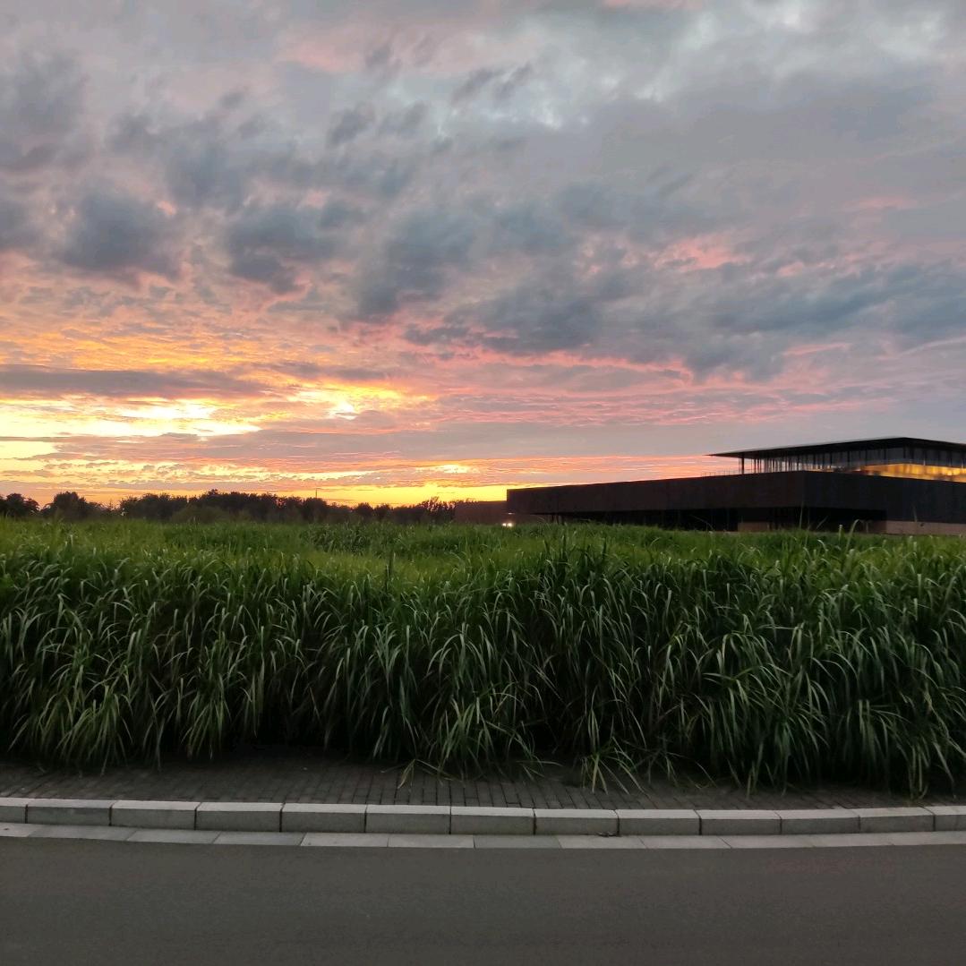 看我真挚的眼神