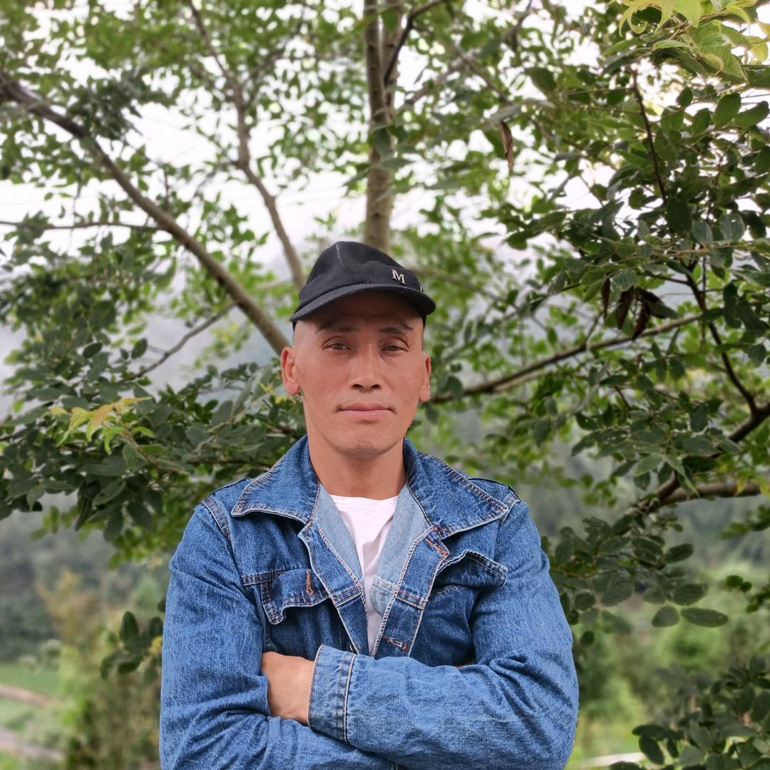 疯狂的一素