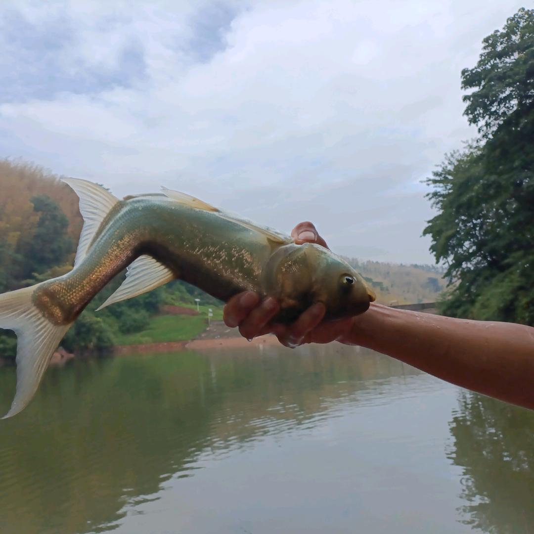 泸州纳溪烂泥沟水库