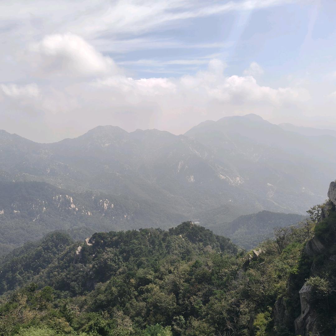 柠檬