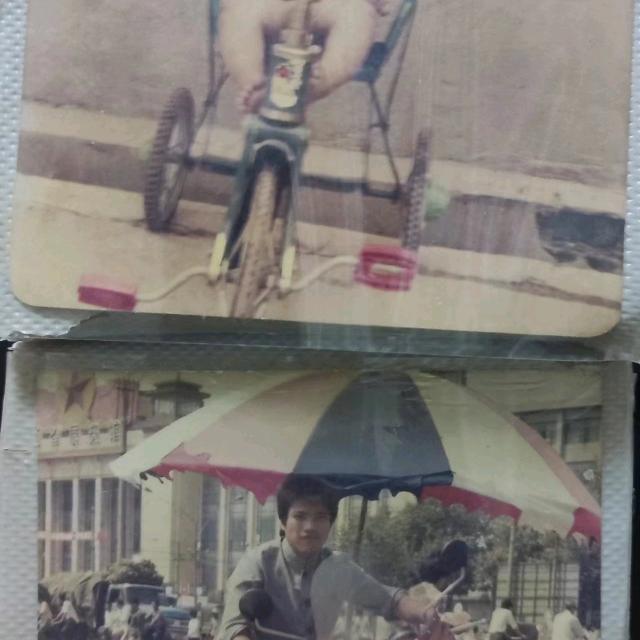 老来乐