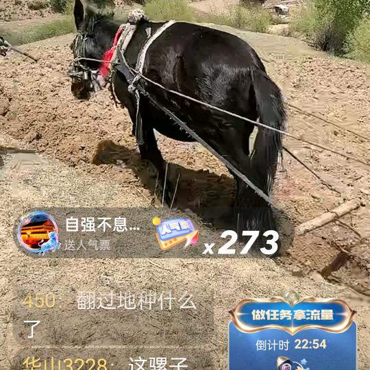 顾斯宸头像
