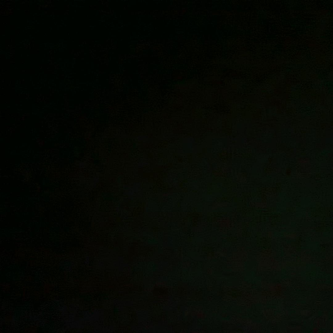 🖕✌🤟木头人