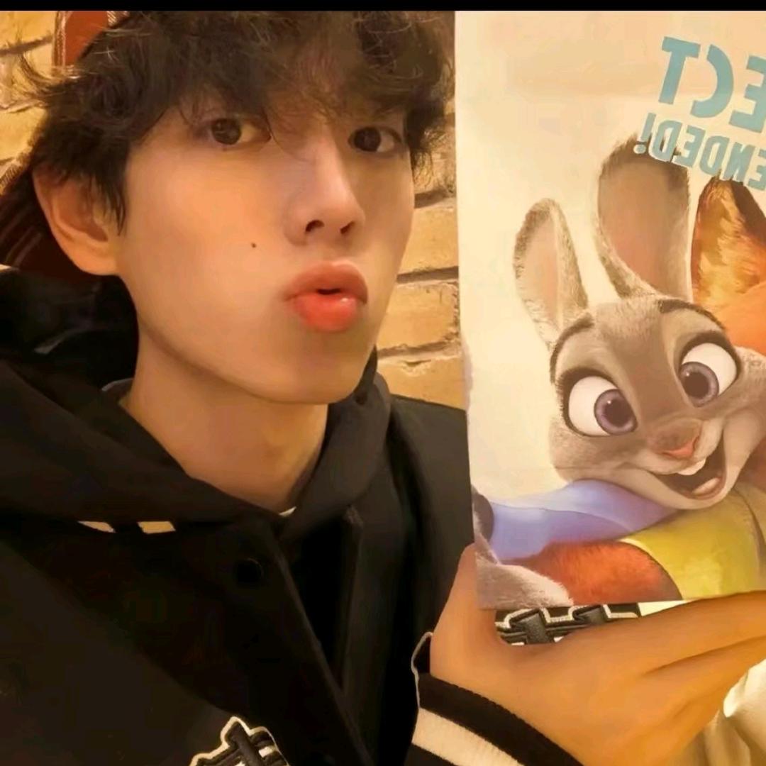 🦊