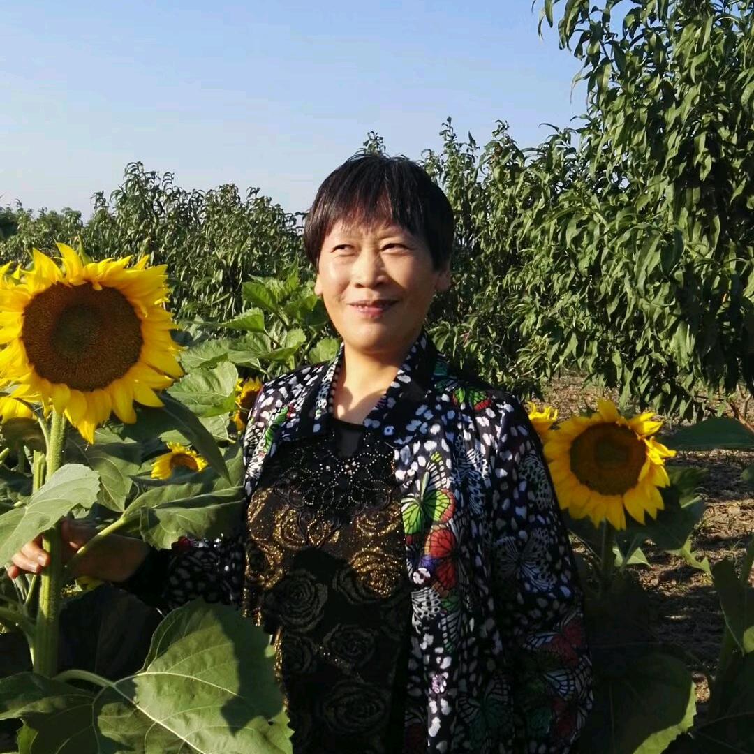 木易姐