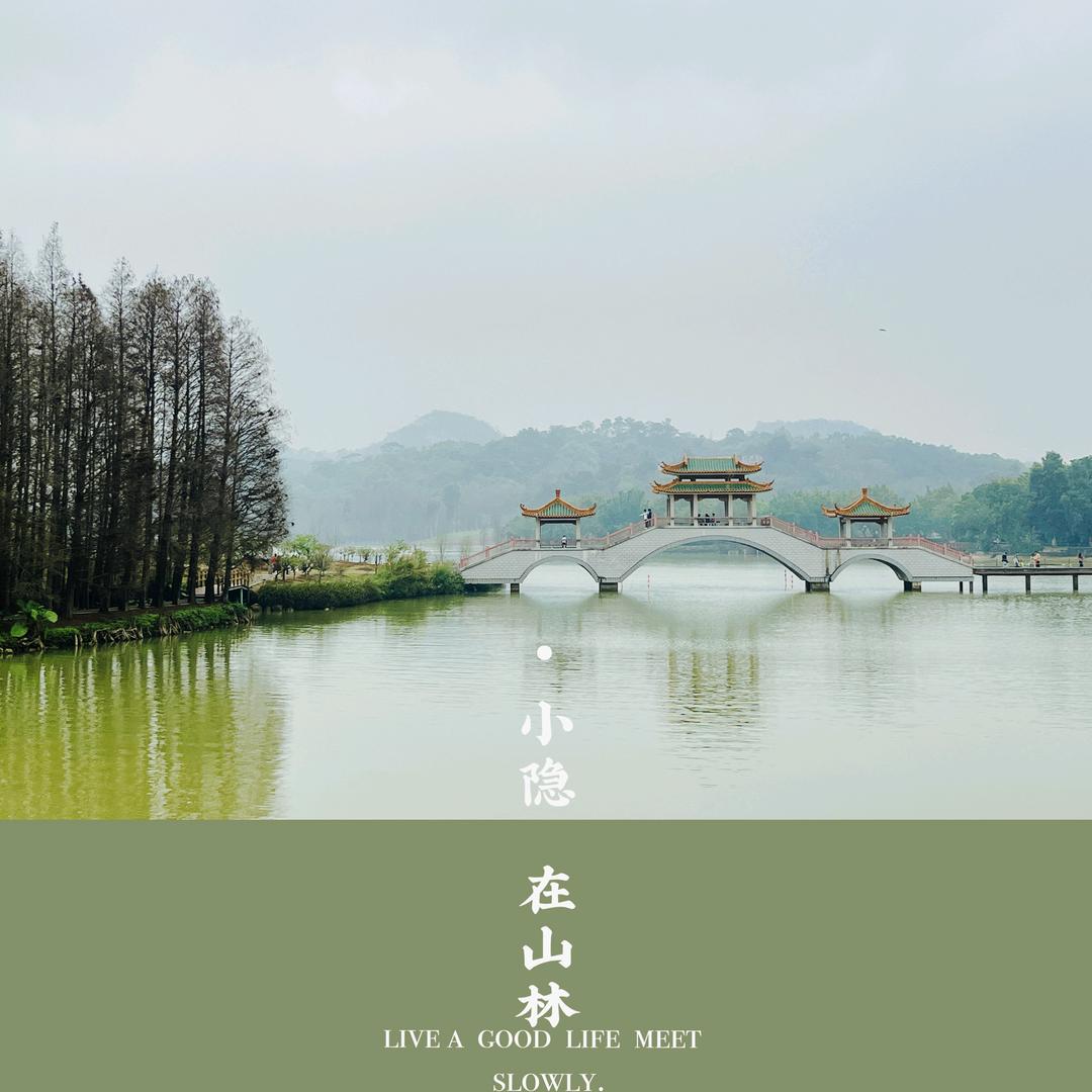你若安好便是晴天
