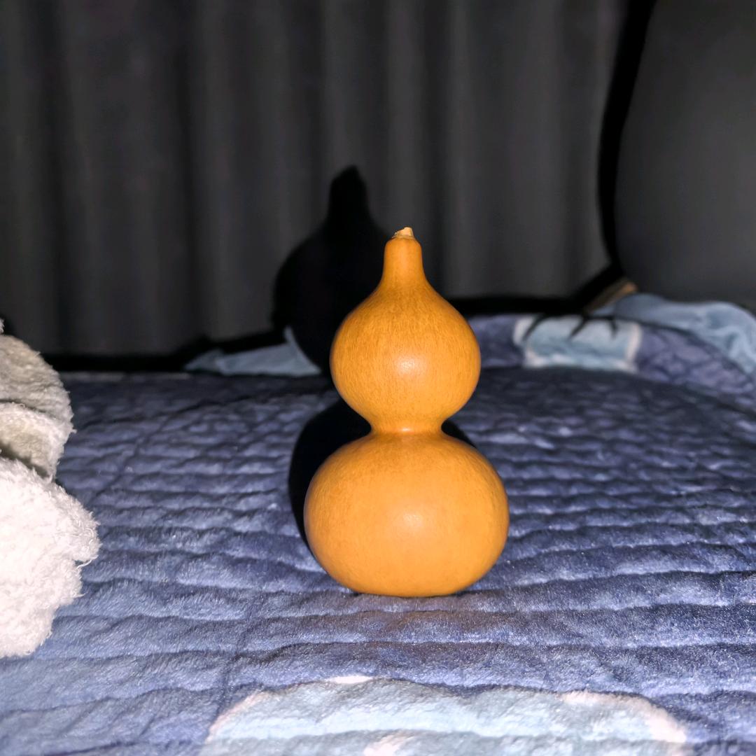 天行健   长青📿