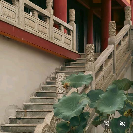天师道长