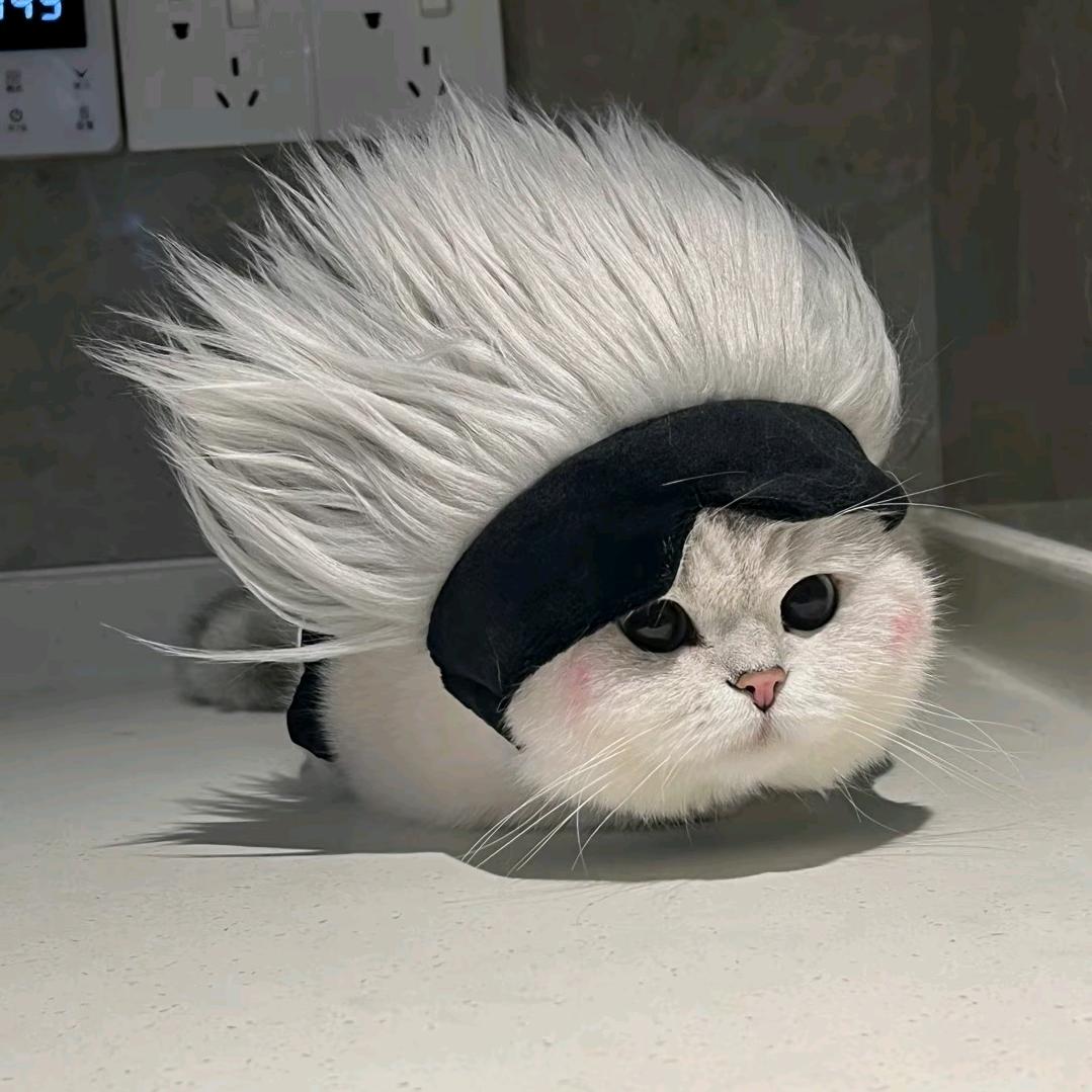 飘唱诗人