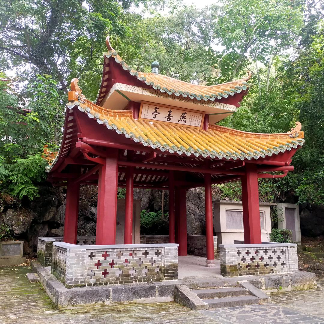 读连阳