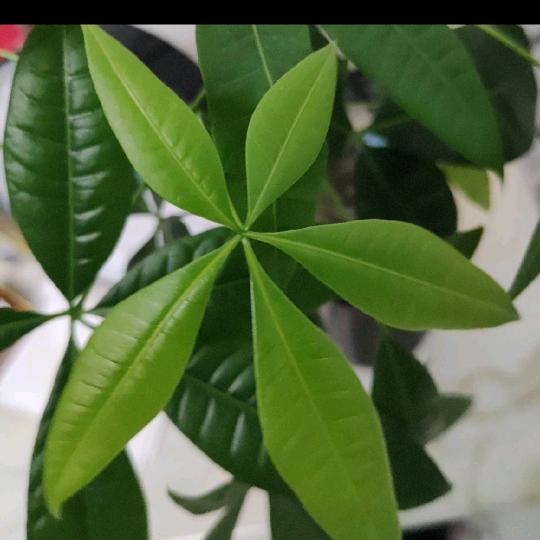 有你有我