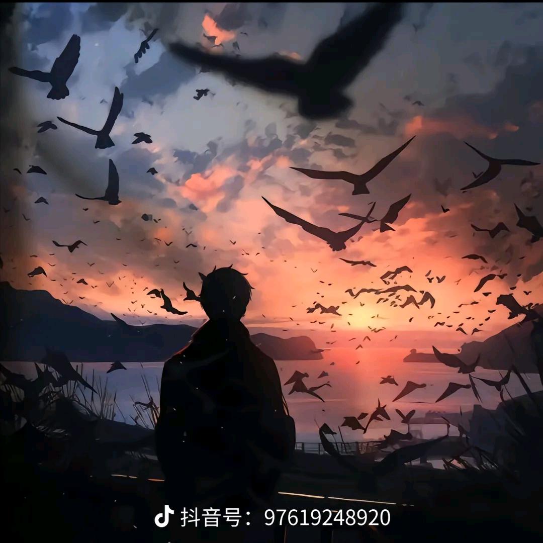 橱窗心事