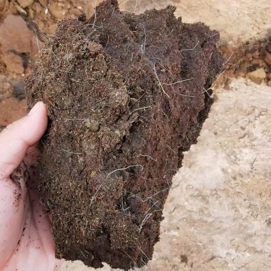 东营悦丰生物肥业有限公司
