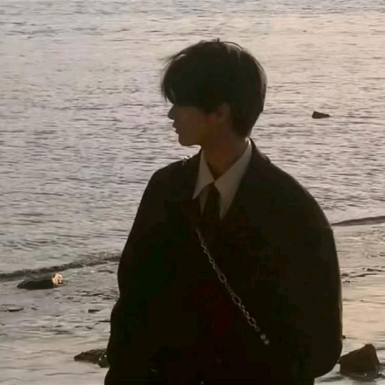 双汇口味的猪猪侠