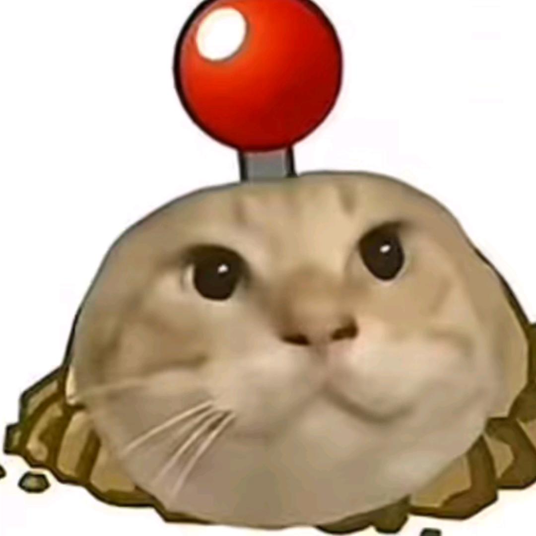 耄耋地雷