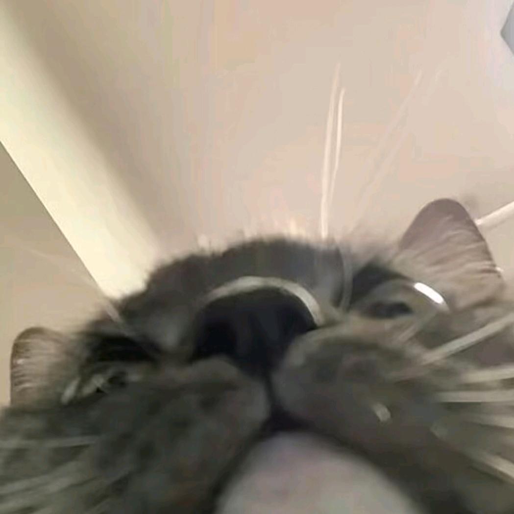 少油