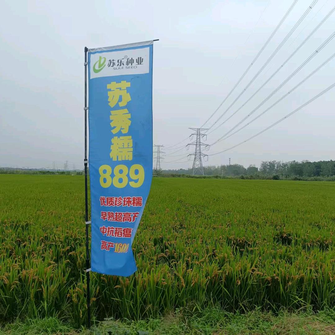 苏乐种业—胡方余