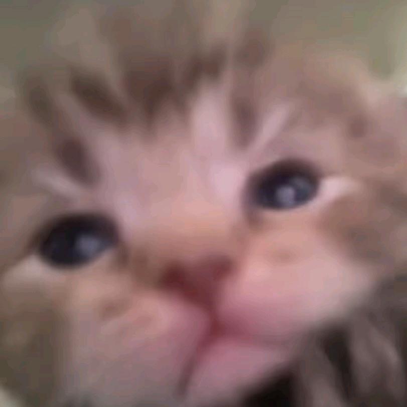 栀沃^