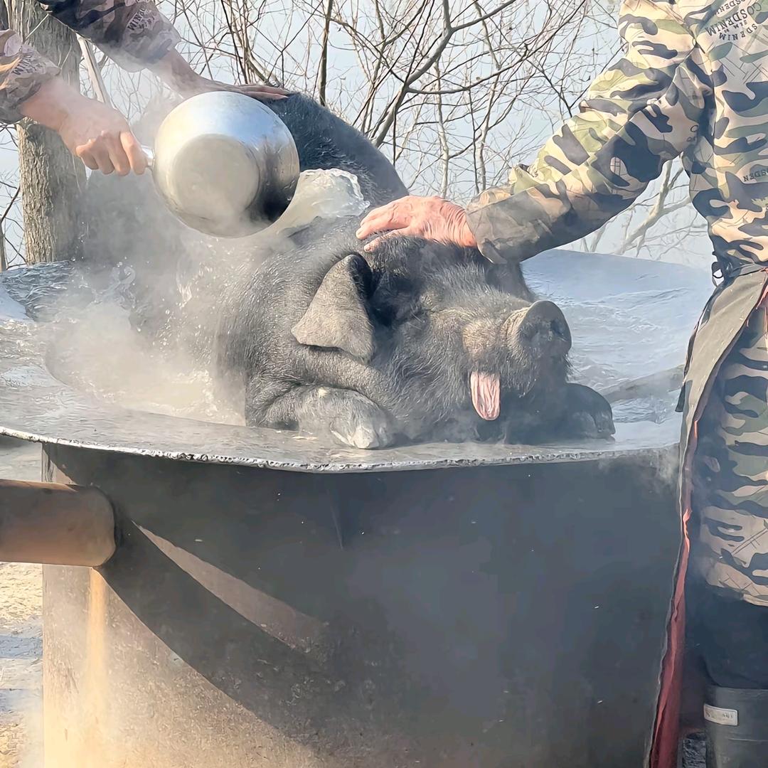 幼稚园大班班霸