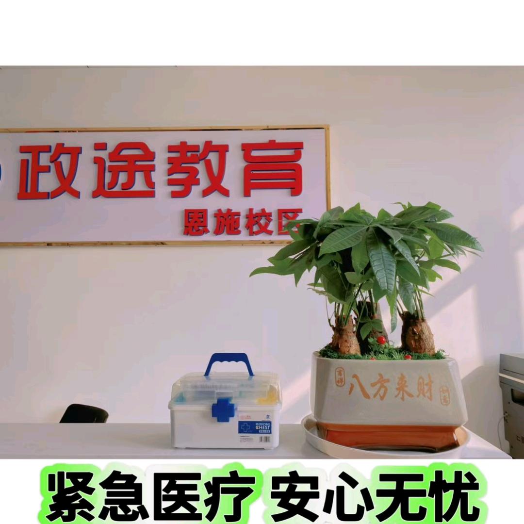 政途公考杨老师