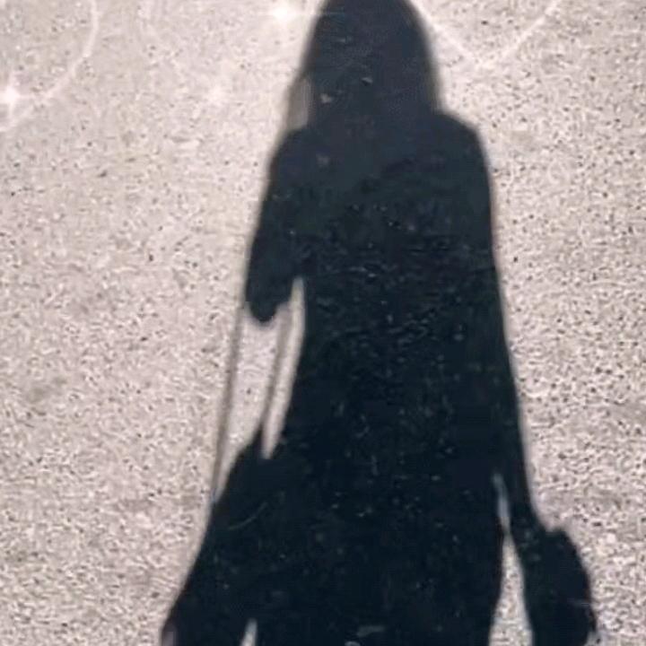 理性。