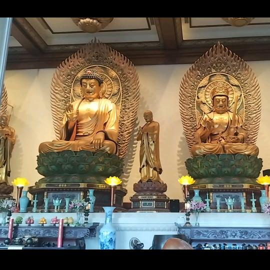 刘师兄南无阿弥陀佛南无观世音菩萨