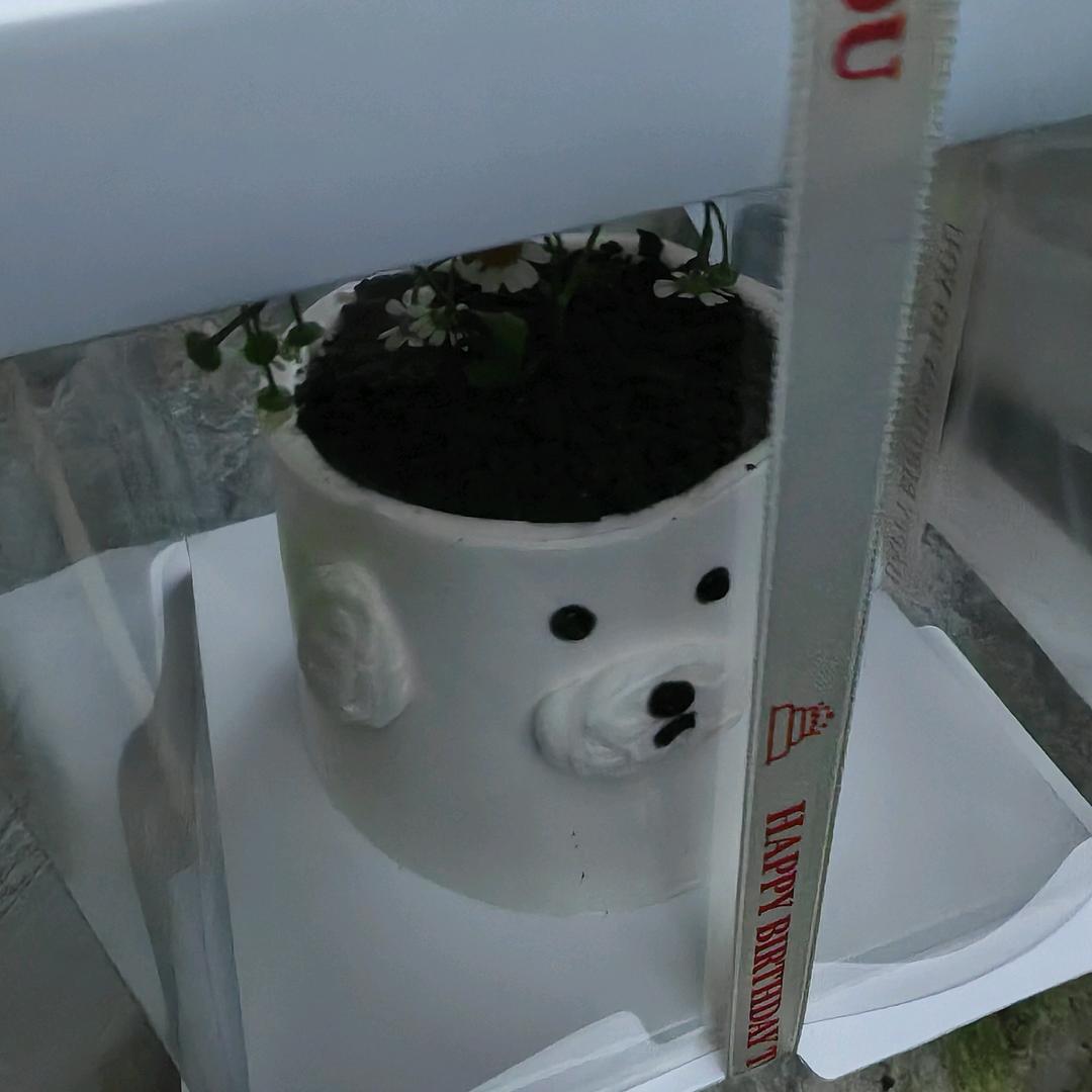 …………………………