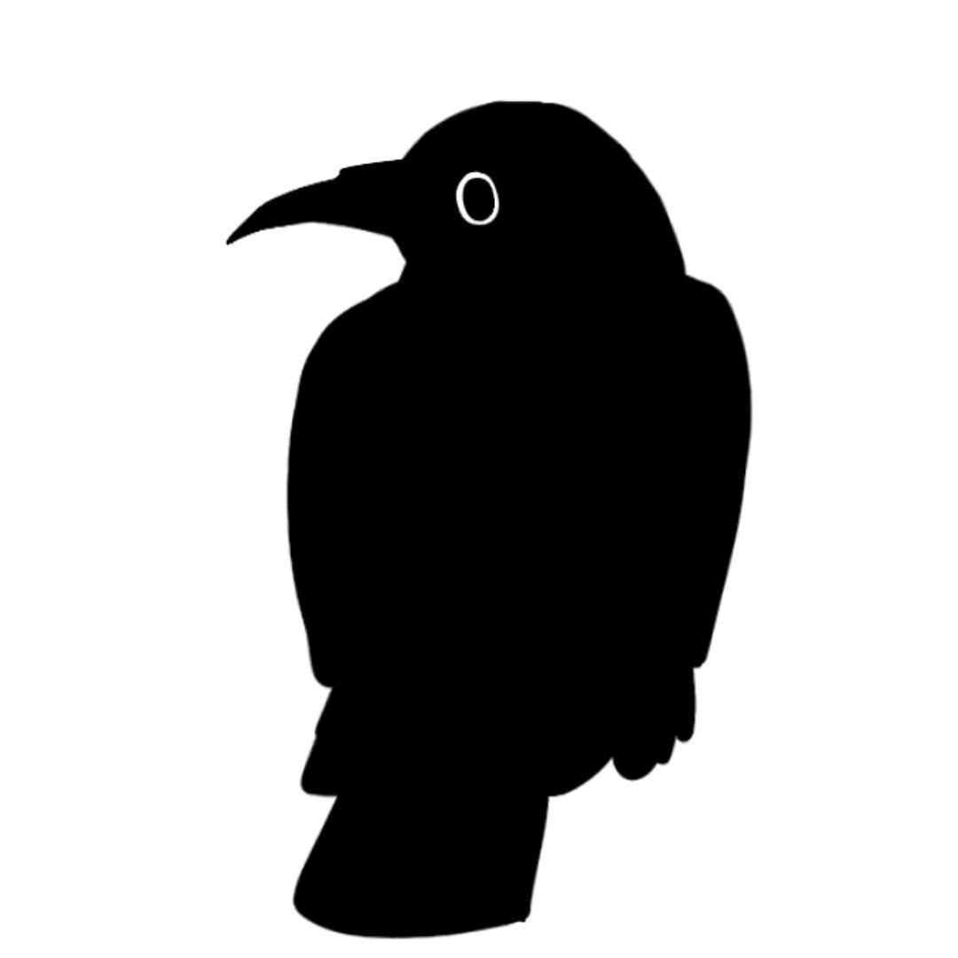 励志养到一只渡🐦‍⬛