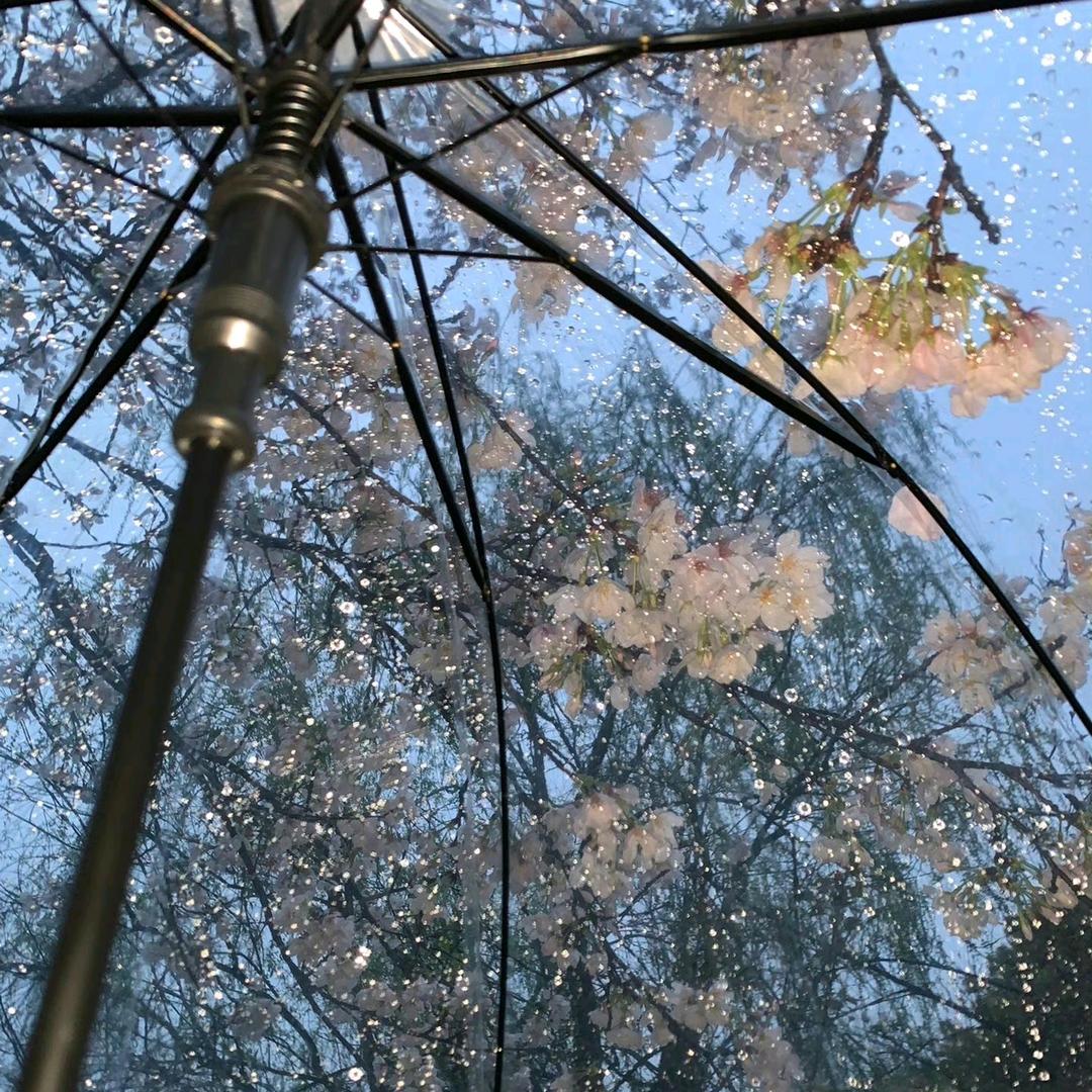 没烦恼.
