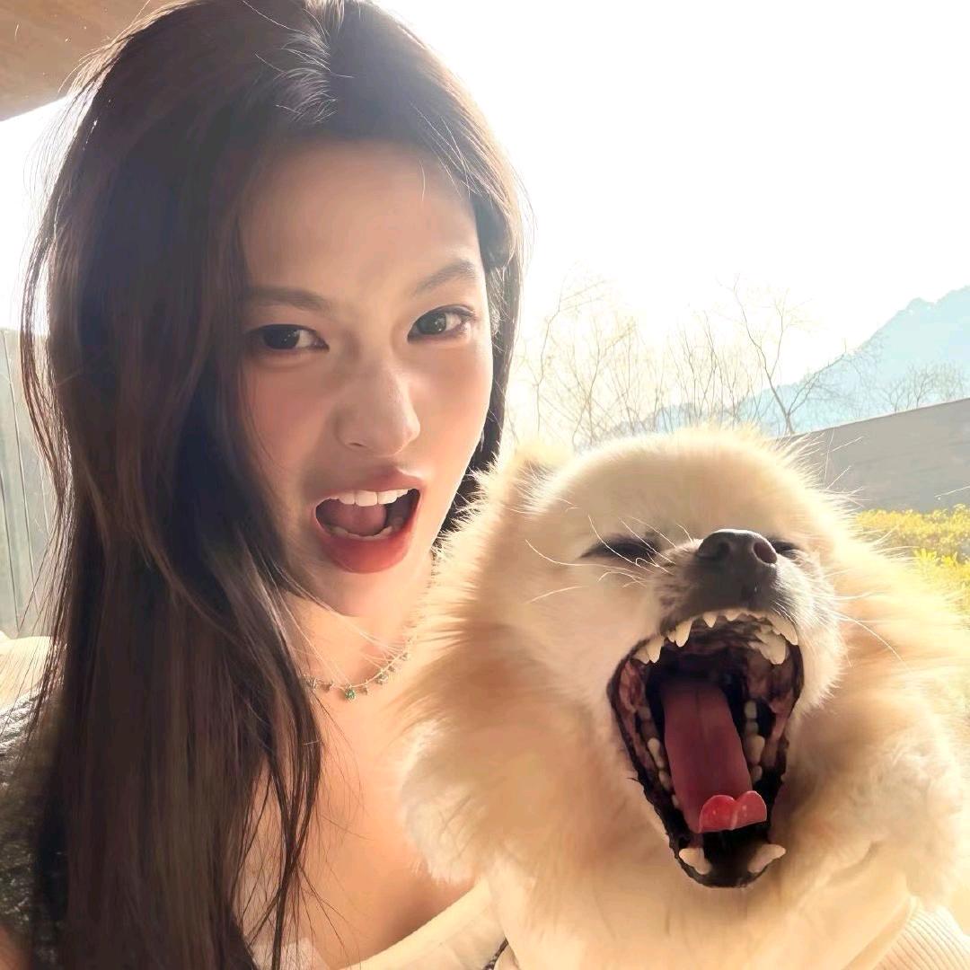 不是扰扰