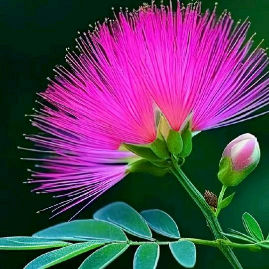 人生如梦😂😂💔