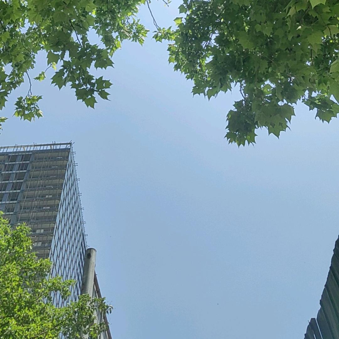 癞疙宝
